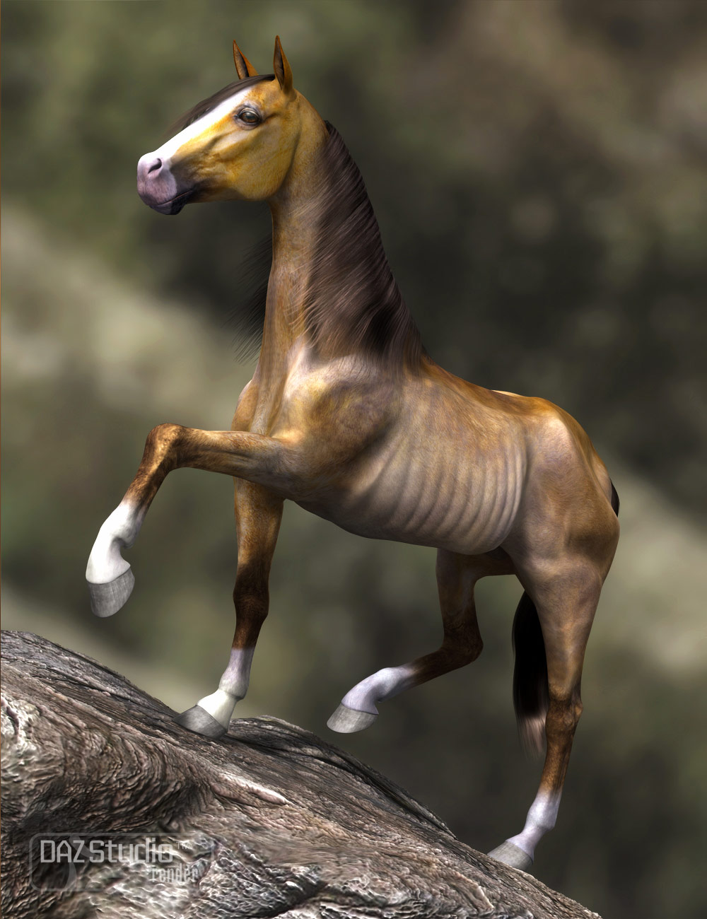 DAZ Horse 2 Starter Bundle | Daz 3D