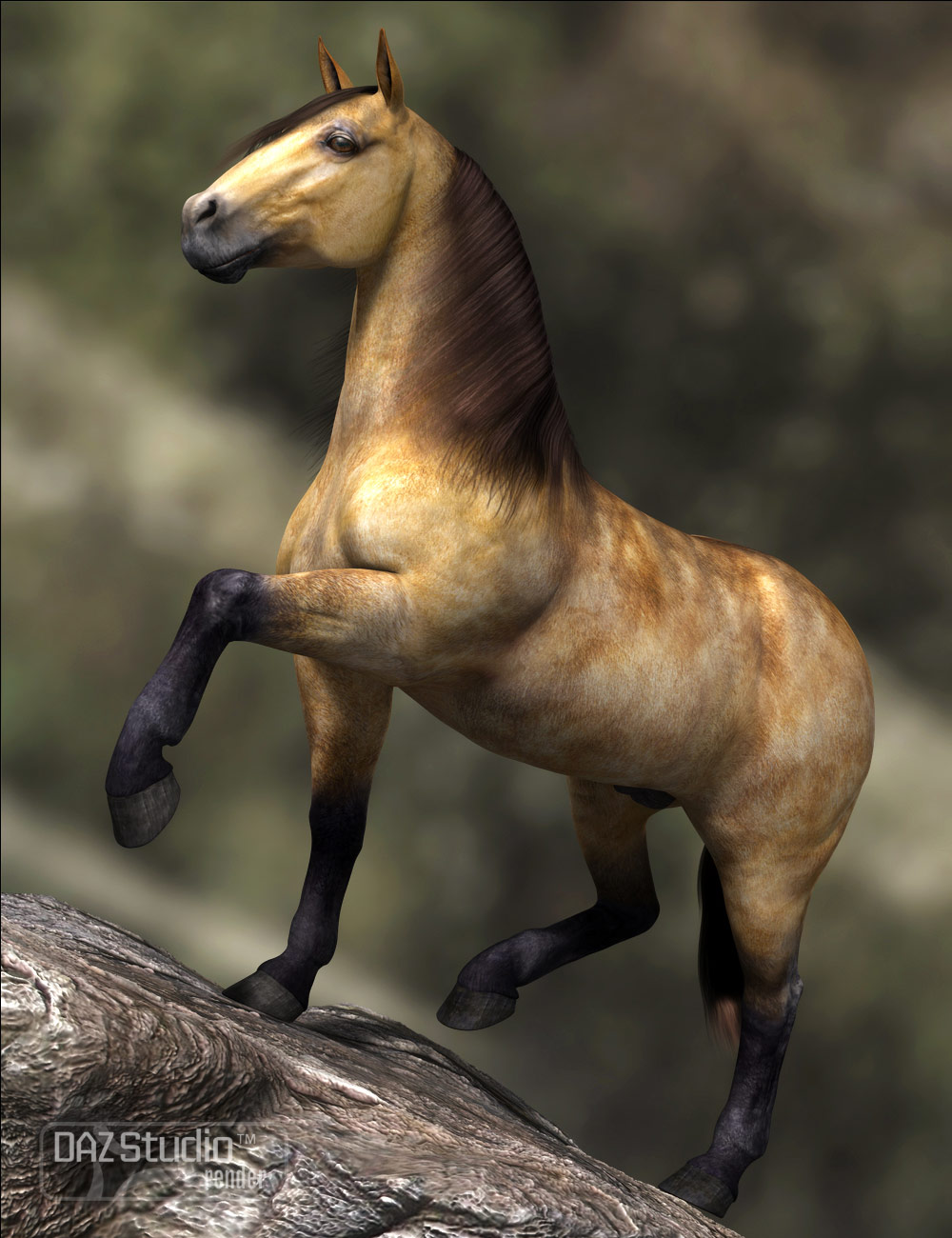 DAZ Horse 2 Pro Bundle | Daz 3D