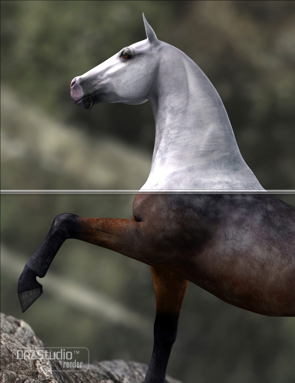 DAZ Horse 2 Pro Bundle | Daz 3D