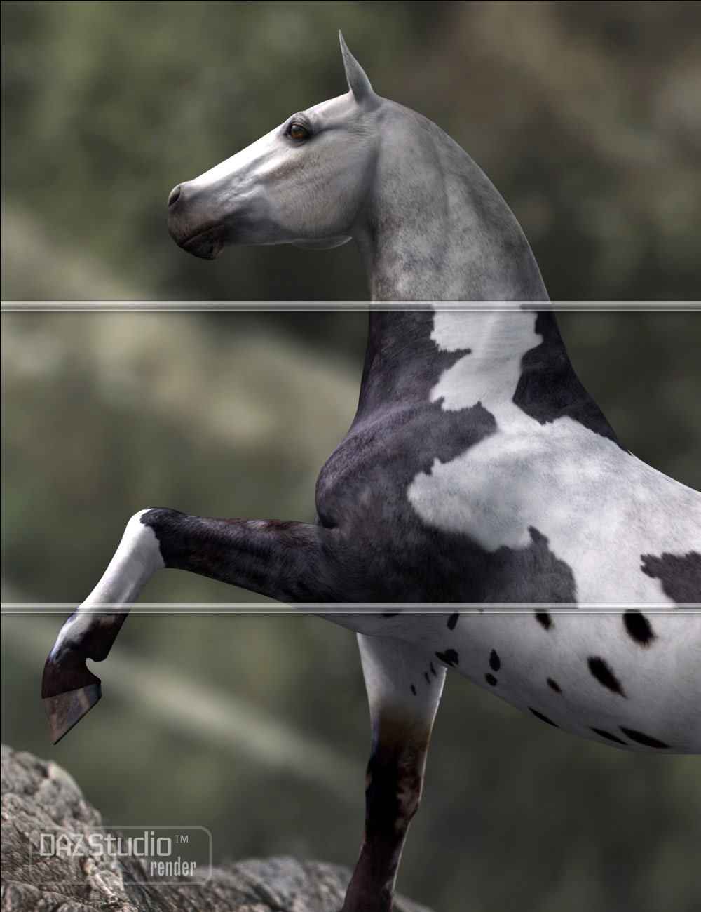 DAZ Horse 2 Pro Bundle | Daz 3D