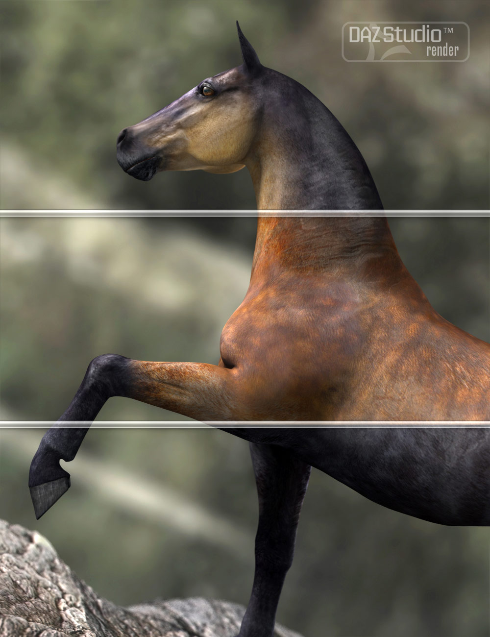 DAZ Horse 2 Pro Bundle | Daz 3D