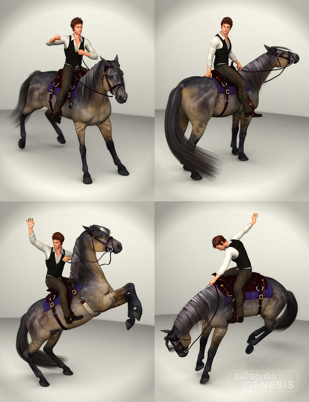 DAZ Horse 2 Pro Bundle | Daz 3D