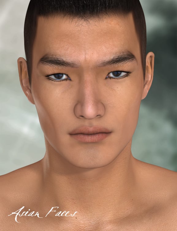 Asian Faces Asian Faces by: Raiya, 3D Models by Daz 3D