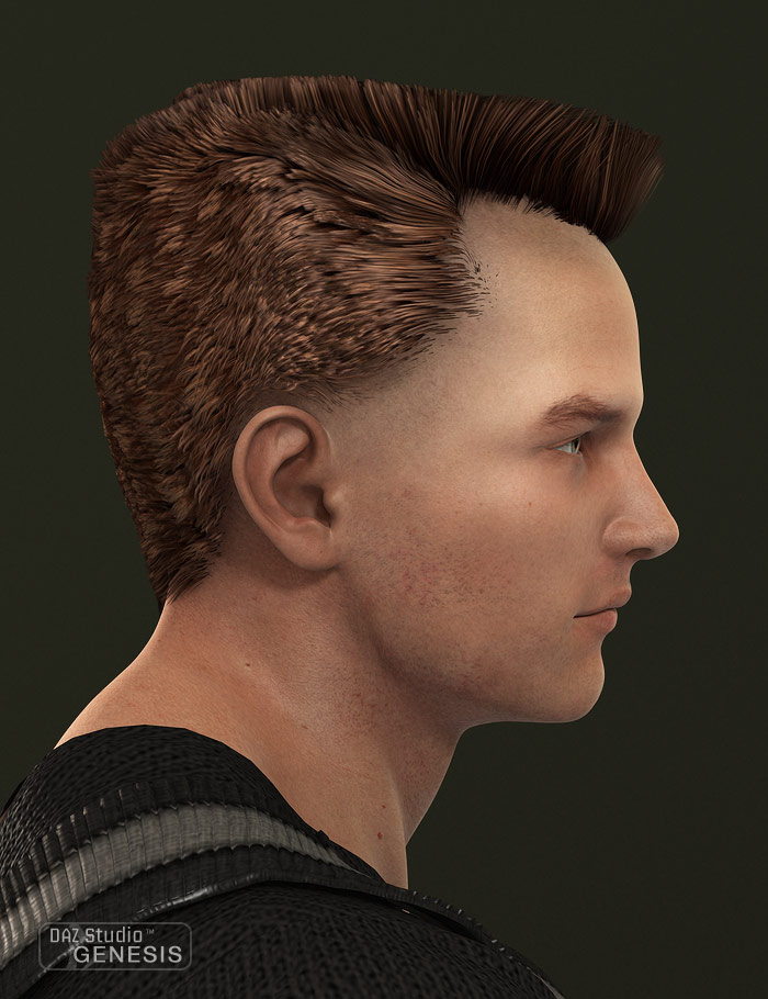 Flat Top Hair by: Neftis3D, 3D Models by Daz 3D