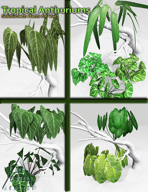 Tropical Anthuriums for Vue by: MartinJFrost, 3D Models by Daz 3D