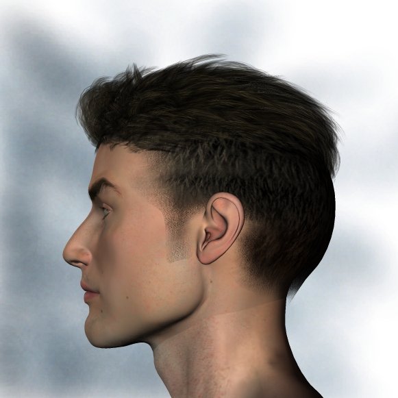 Mihai Hair by: Neftis3D, 3D Models by Daz 3D