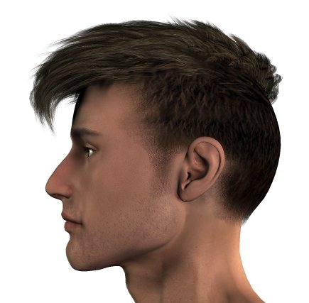 Julian Hair by: Neftis3D, 3D Models by Daz 3D