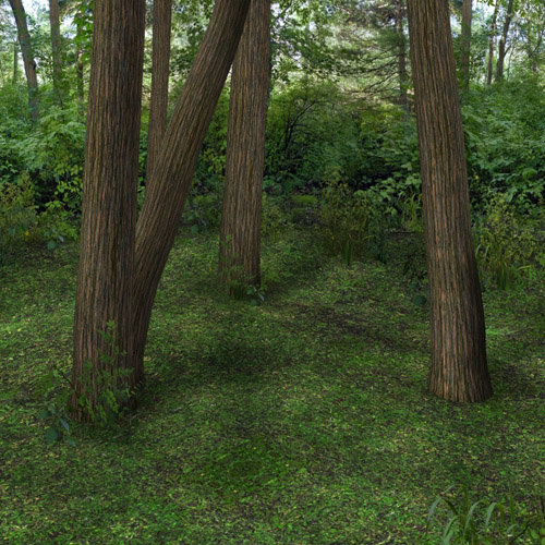 Woodland Realm Playset Two by: , 3D Models by Daz 3D