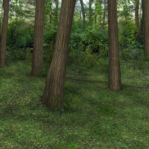 Woodland Realm Playset Two by: , 3D Models by Daz 3D