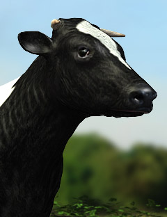 LoREZ Cow by: Predatron, 3D Models by Daz 3D