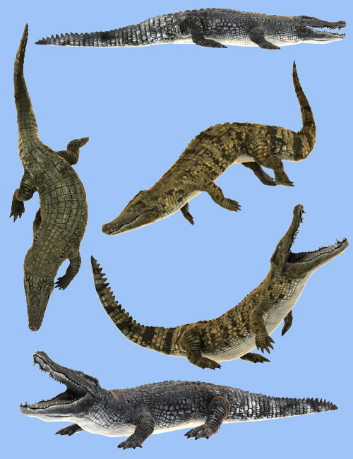 Crocodilia 2: Gharial and Crocodile by: Alessandro_AM, 3D Models by Daz 3D