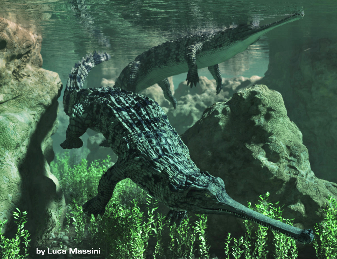 Crocodilia 2: Gharial and Crocodile by: Alessandro_AM, 3D Models by Daz 3D