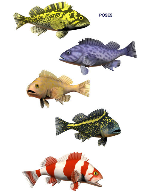 Pacific Rockfish Collection Pacific Rockfish Collection by: blondie9999, 3D Models by Daz 3D