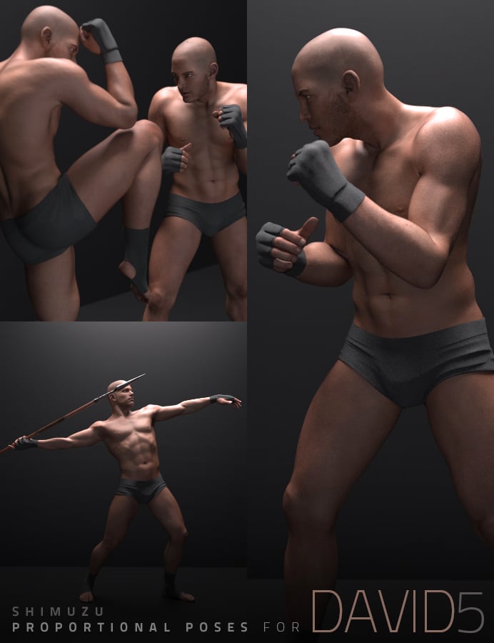 Shimuzu's Proportional Poses for David 5 by: Shimuzu, 3D Models by Daz 3D
