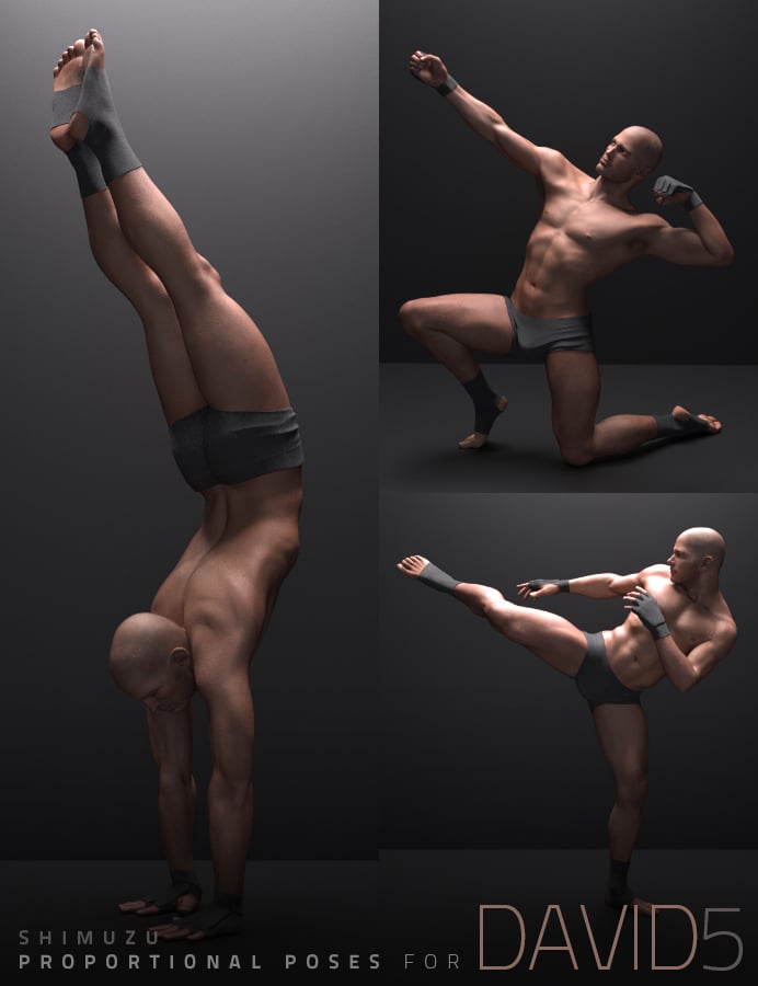 Shimuzu's Proportional Poses for David 5 by: Shimuzu, 3D Models by Daz 3D