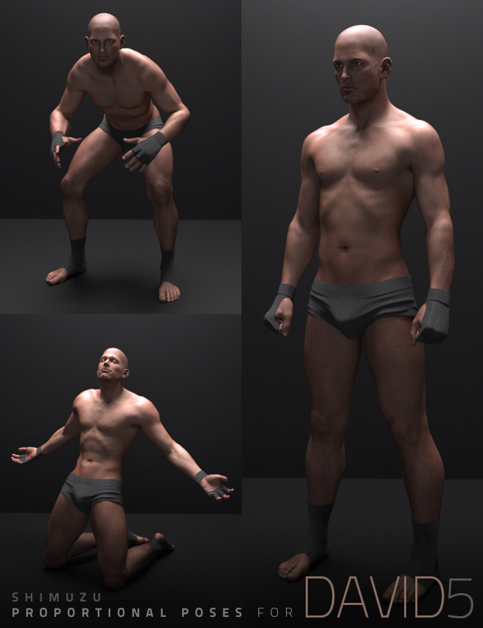 Shimuzu's Proportional Poses for David 5 Shimuzu's Proportional Poses for David 5 by: Shimuzu, 3D Models by Daz 3D