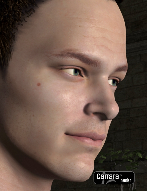 Carrara Skin Shaders For David 5 by: , 3D Models by Daz 3D