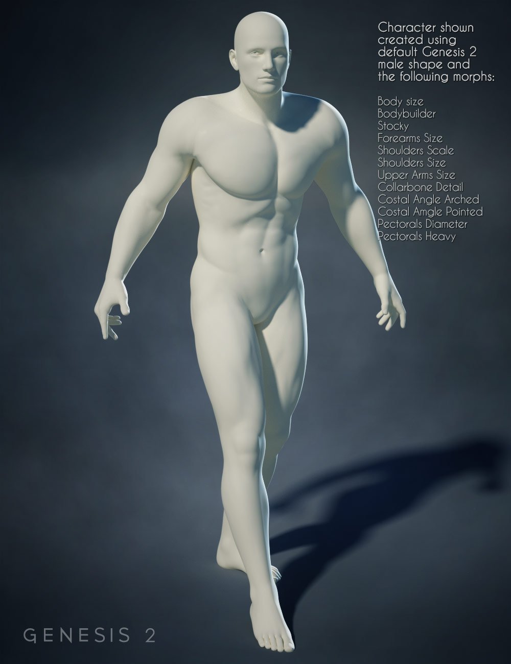 Genesis 2 Male Body Morphs
