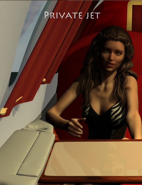 Private Jet Private Jet by: PW Productions, 3D Models by Daz 3D