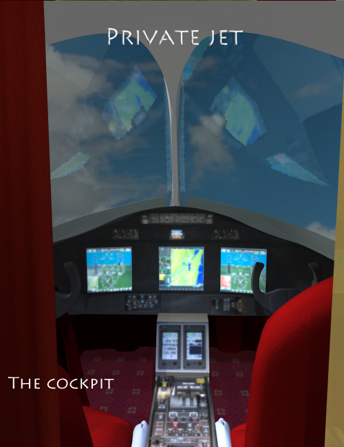 Private Jet Private Jet by: PW Productions, 3D Models by Daz 3D