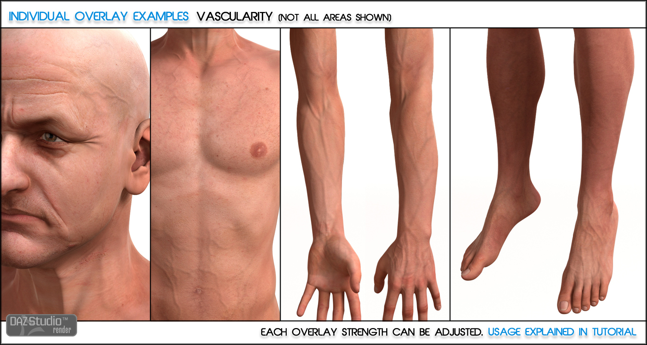 Skin Overlay for V4 and M4 Skin Sets Skin Overlay for V4 and M4 Skin Sets by: Zev0DraagonStorm, 3D Models by Daz 3D