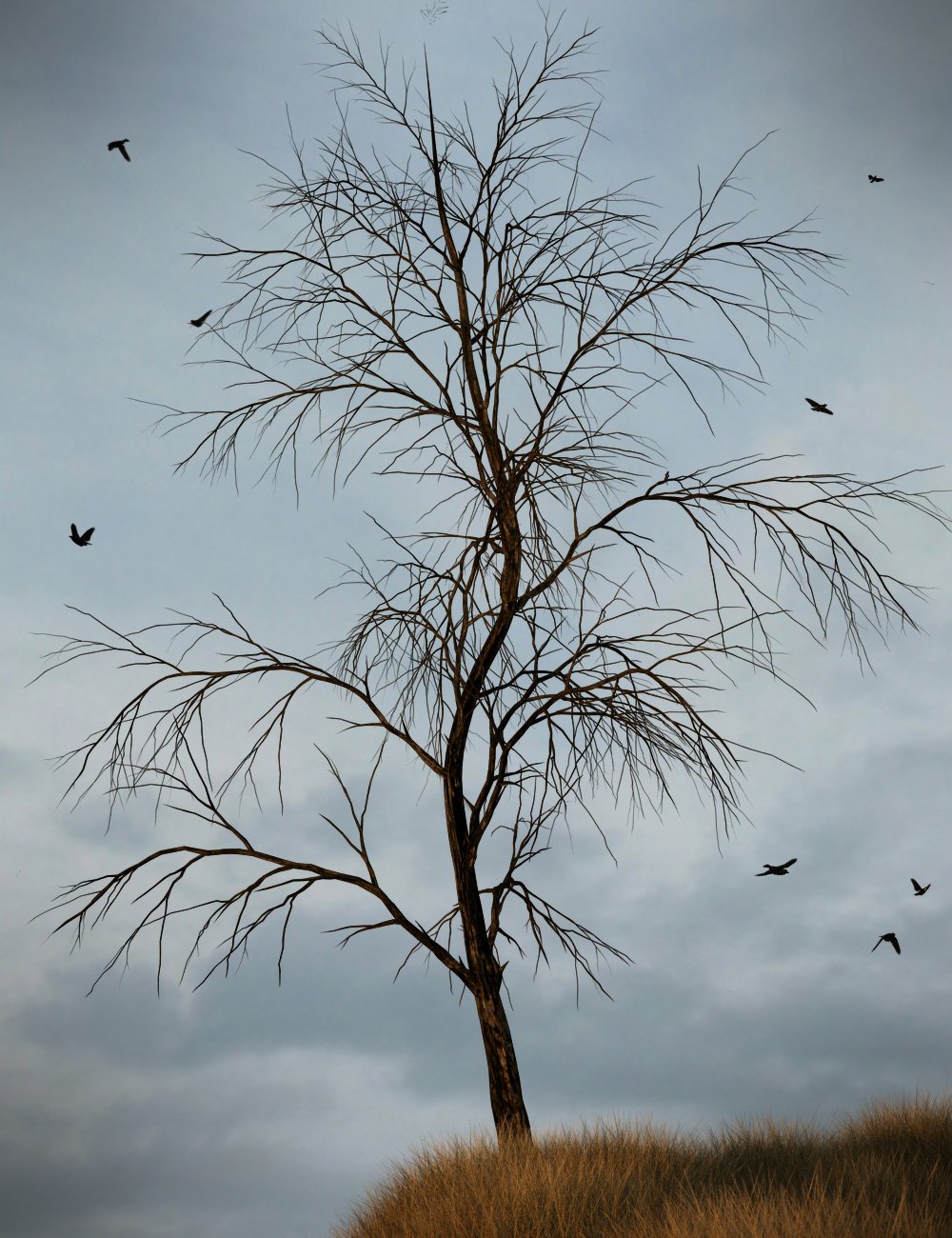 Dark Trees Pack 1 Dark Trees Pack 1 by: , 3D Models by Daz 3D