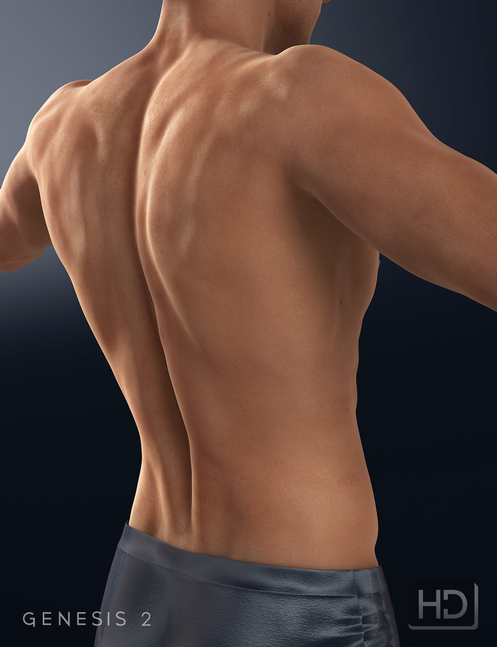 Michael 6 HD Add-On Michael 6 HD Add-On by: , 3D Models by Daz 3D