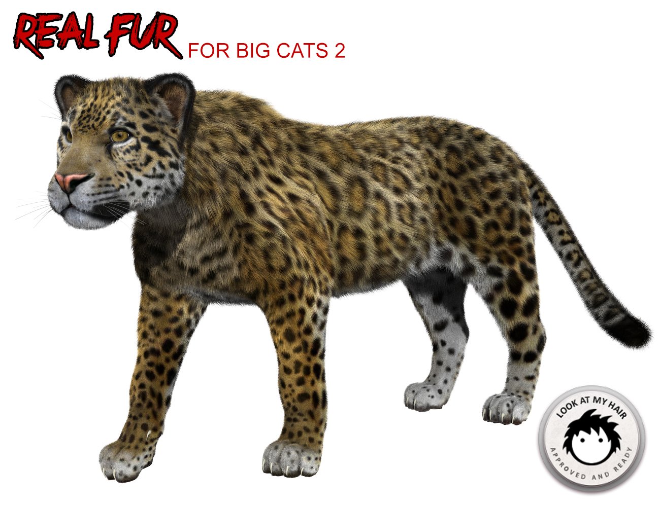 Real Fur for DAZ Big Cat 2 Real Fur for DAZ Big Cat 2 by: Alessandro_AMKendall Sears, 3D Models by Daz 3D