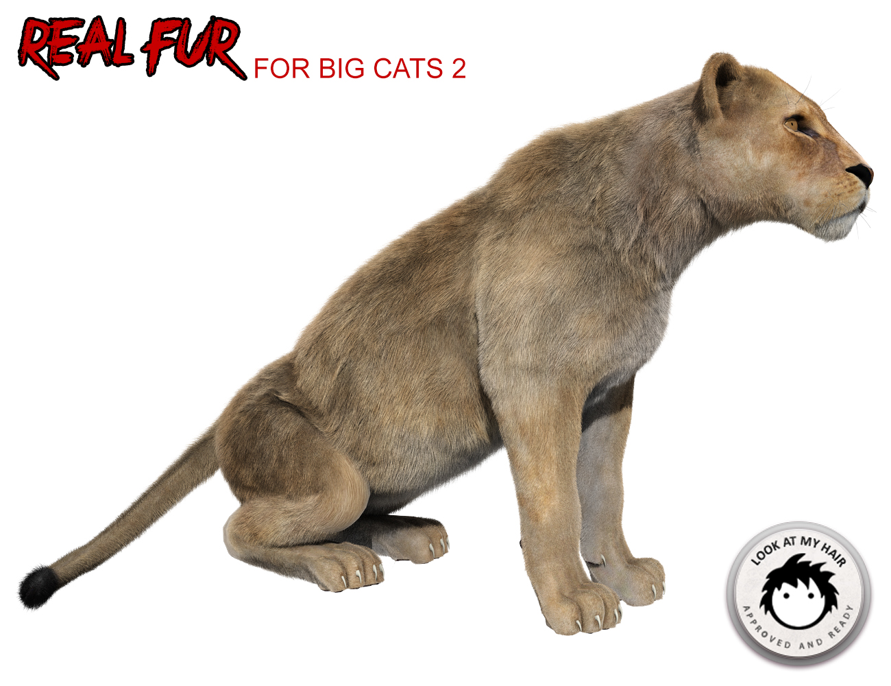 Real Fur for DAZ Big Cat 2 by: Alessandro_AMKendall Sears, 3D Models by Daz 3D