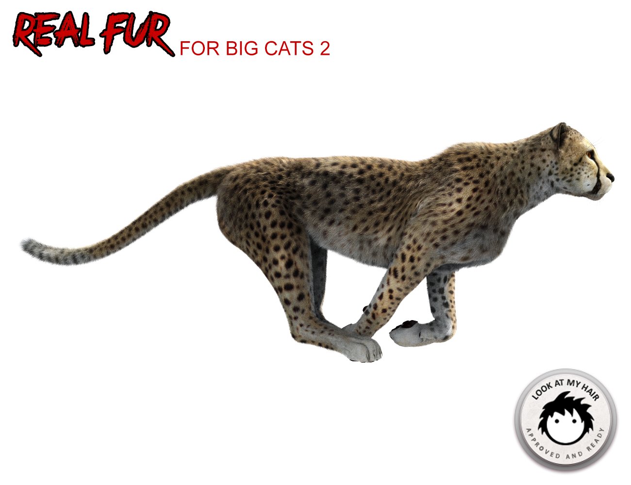 Real Fur for DAZ Big Cat 2 by: Alessandro_AMKendall Sears, 3D Models by Daz 3D