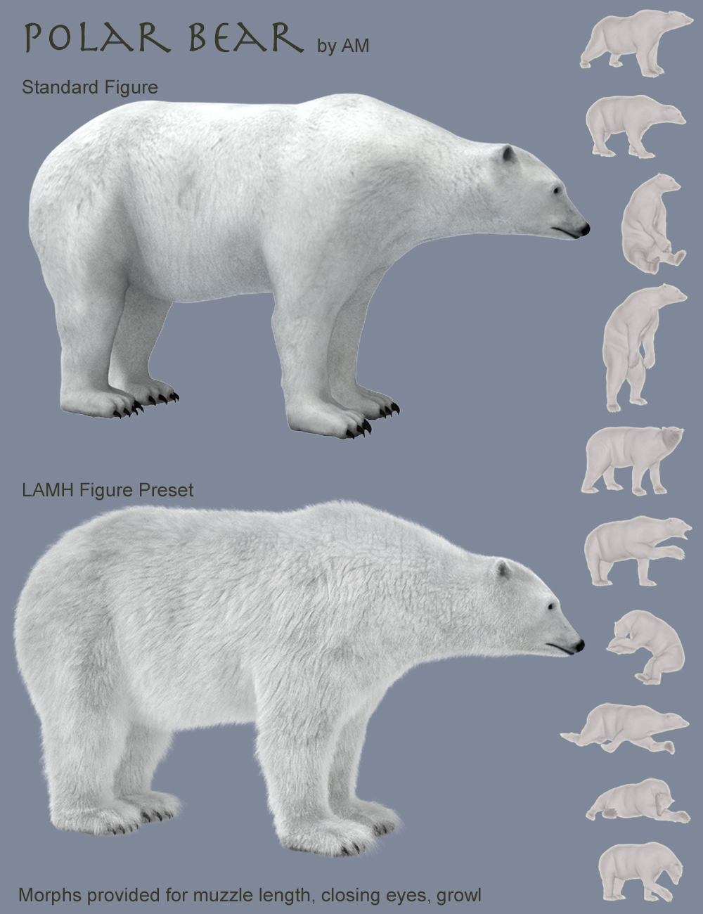 Polar Bear by AM | Daz 3D