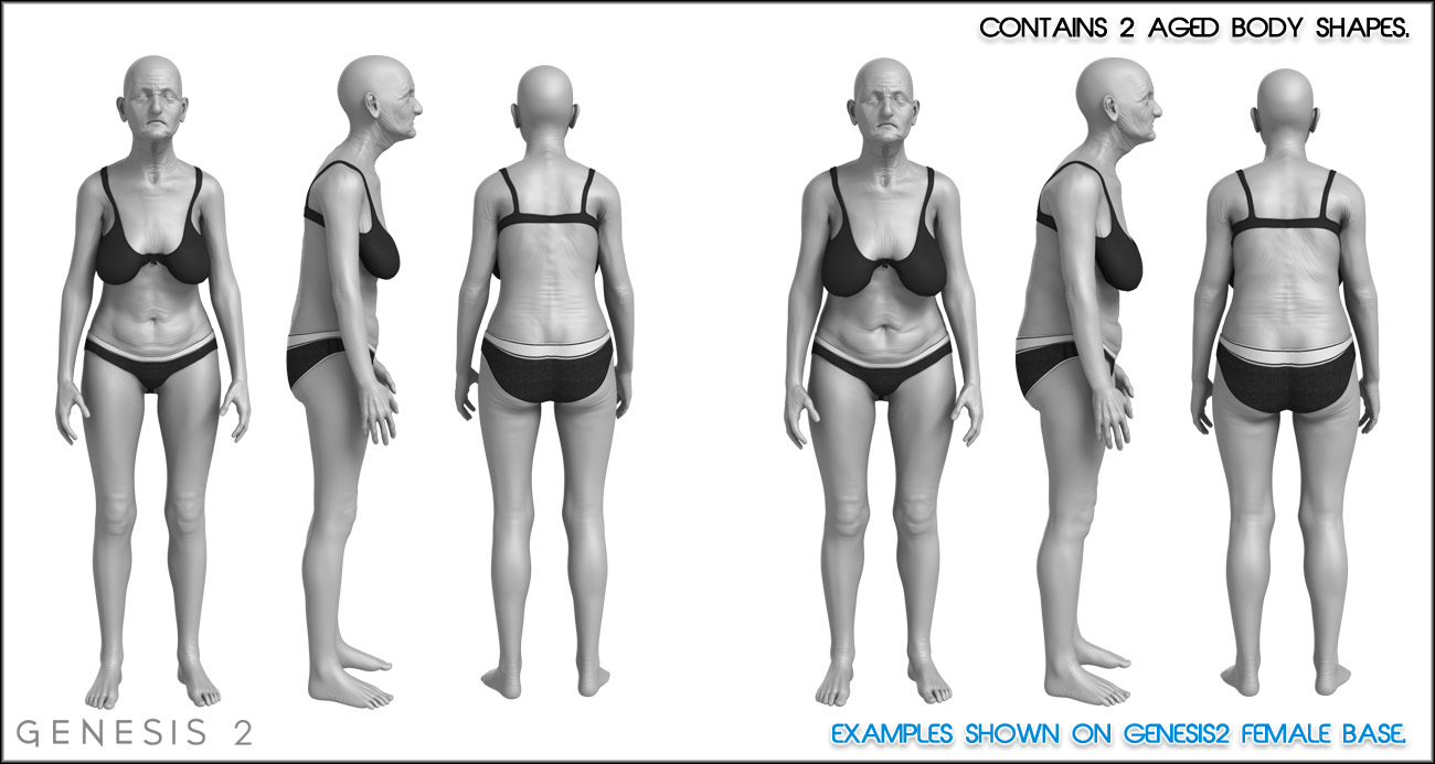 Aging Morphs 2 for Genesis 2 Female(s)/V6 HD by: Zev0, 3D Models by Daz 3D