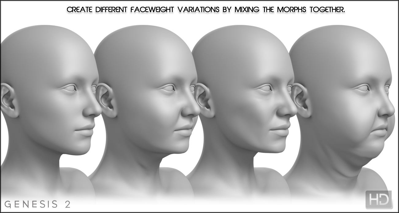 Aging Morphs 2 for Genesis 2 Female(s)/V6 HD by: Zev0, 3D Models by Daz 3D