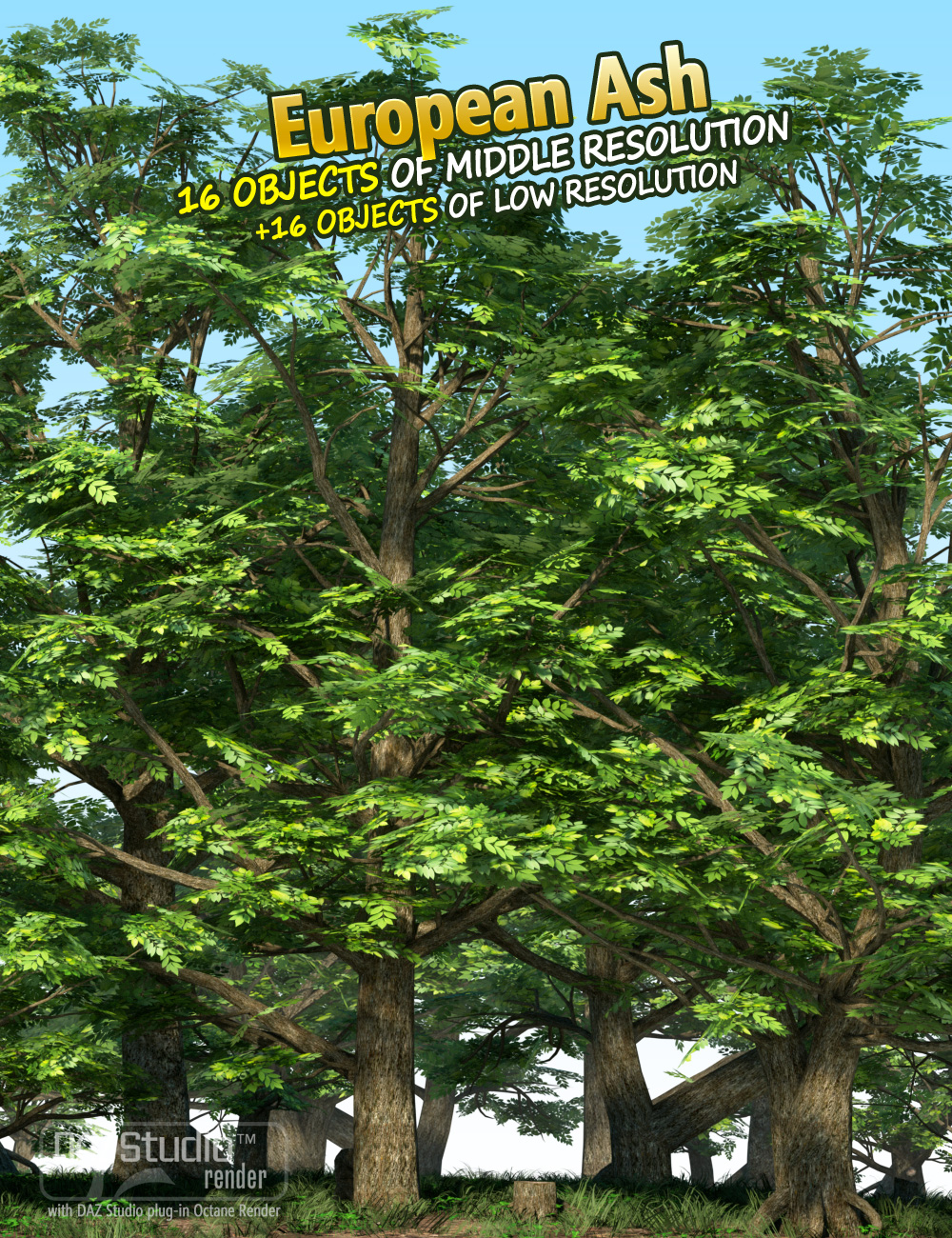 Nature - Trees Pack 1 Nature - Trees Pack 1 by: Andrey Pestryakov, 3D Models by Daz 3D