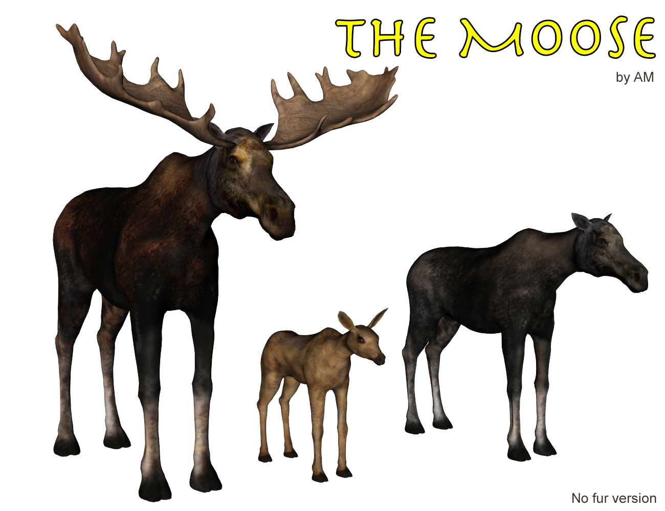 The Moose by: Alessandro_AM, 3D Models by Daz 3D