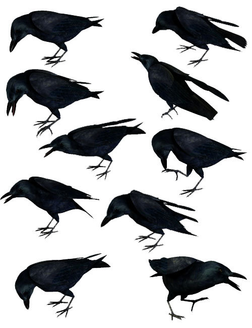 Noggin's Poser Crows by: noggin, 3D Models by Daz 3D