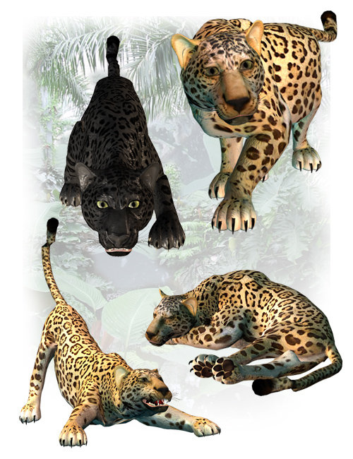 Panthers by: , 3D Models by Daz 3D