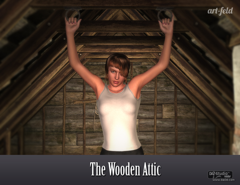 The Wooden Attic by: art-feld, 3D Models by Daz 3D