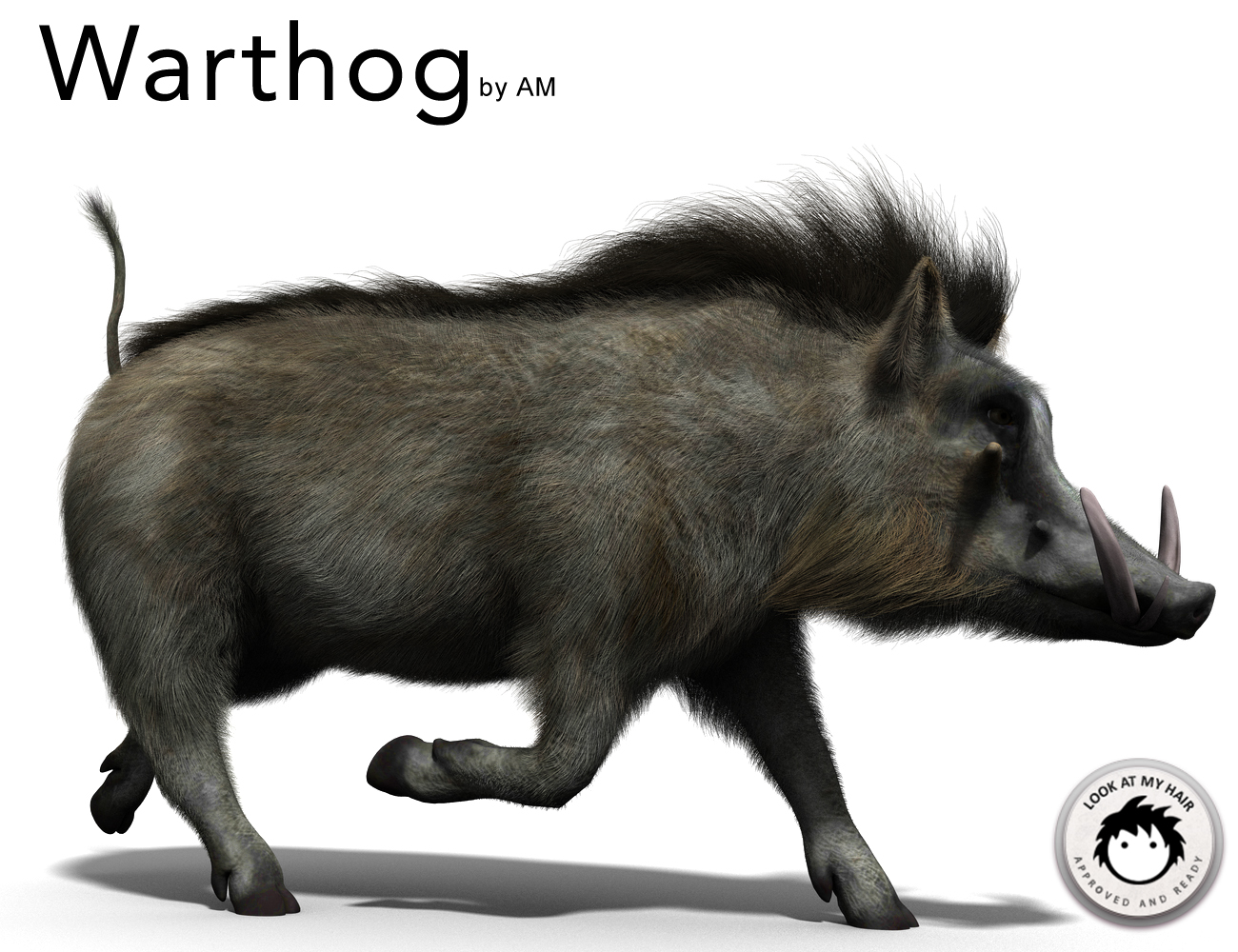 Warthog by AM by: Alessandro_AM, 3D Models by Daz 3D