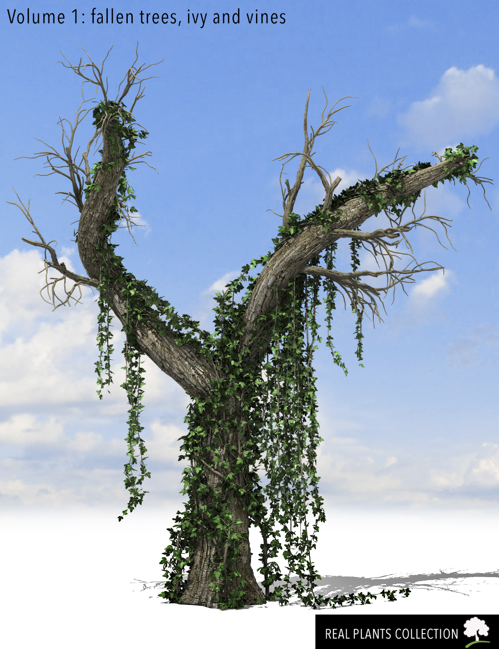 RPC Volume 1: Fallen Trees, Ivy and Vines RPC Volume 1: Fallen Trees, Ivy and Vines by: Alessandro_AMLMX3D, 3D Models by Daz 3D