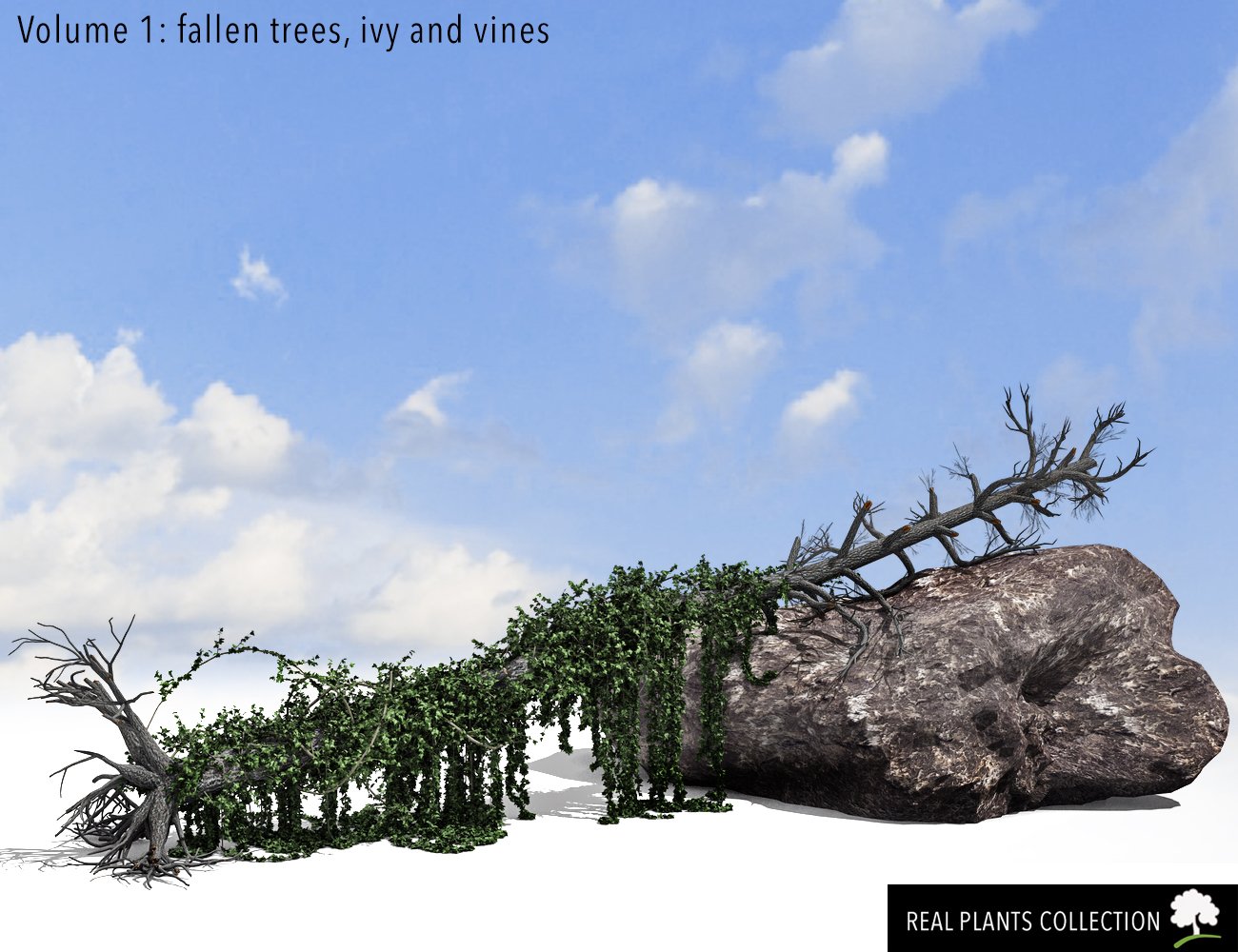 RPC Volume 1: Fallen Trees, Ivy and Vines by: Alessandro_AMLMX3D, 3D Models by Daz 3D