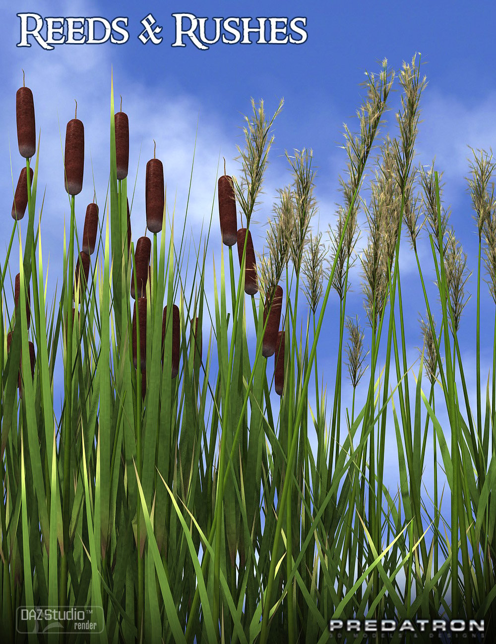 Predatron Reeds and Rushes by: Predatron, 3D Models by Daz 3D