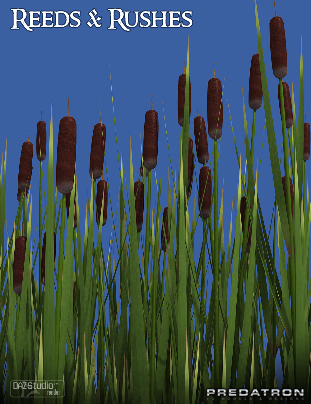 Predatron Reeds and Rushes by: Predatron, 3D Models by Daz 3D
