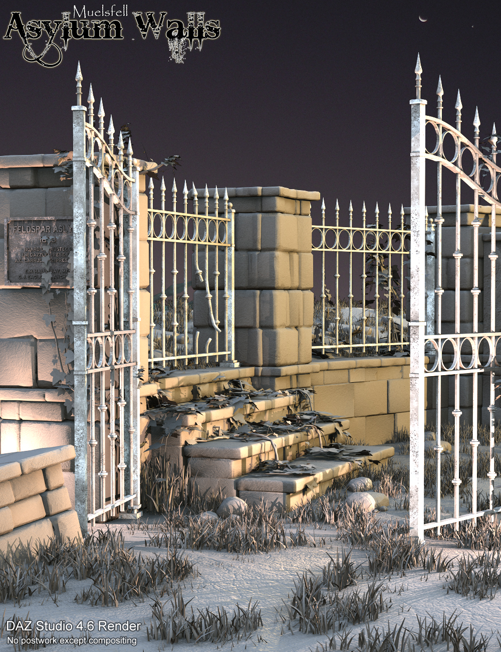 Muelsfell Asylum Walls by: E-Arkham, 3D Models by Daz 3D