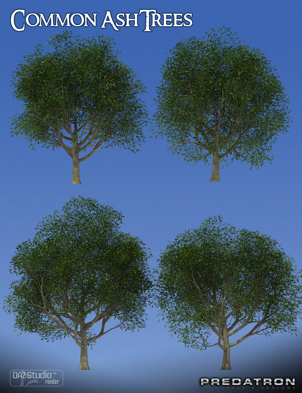 Predatron Common Ash Trees by: Predatron, 3D Models by Daz 3D