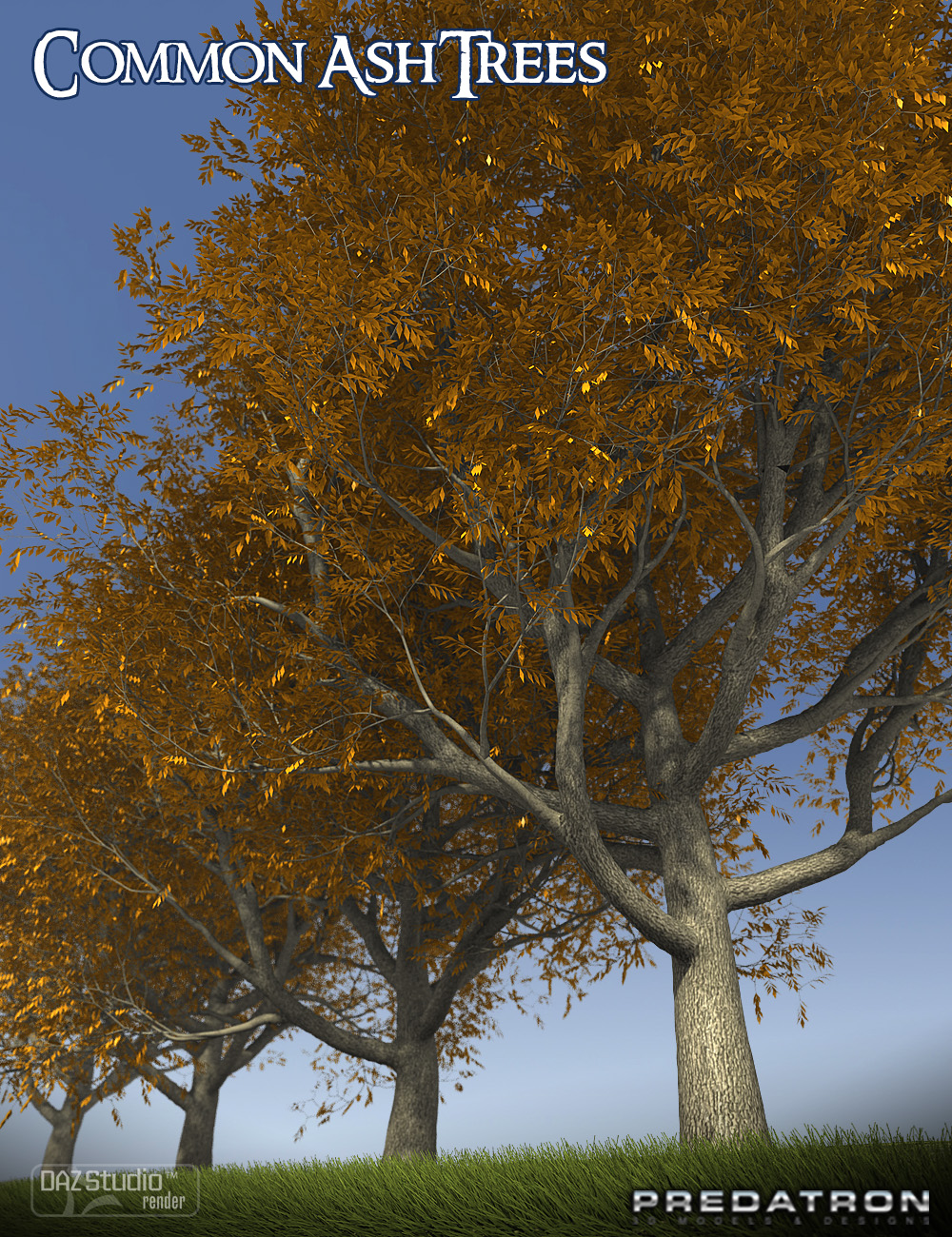 Predatron Common Ash Trees by: Predatron, 3D Models by Daz 3D