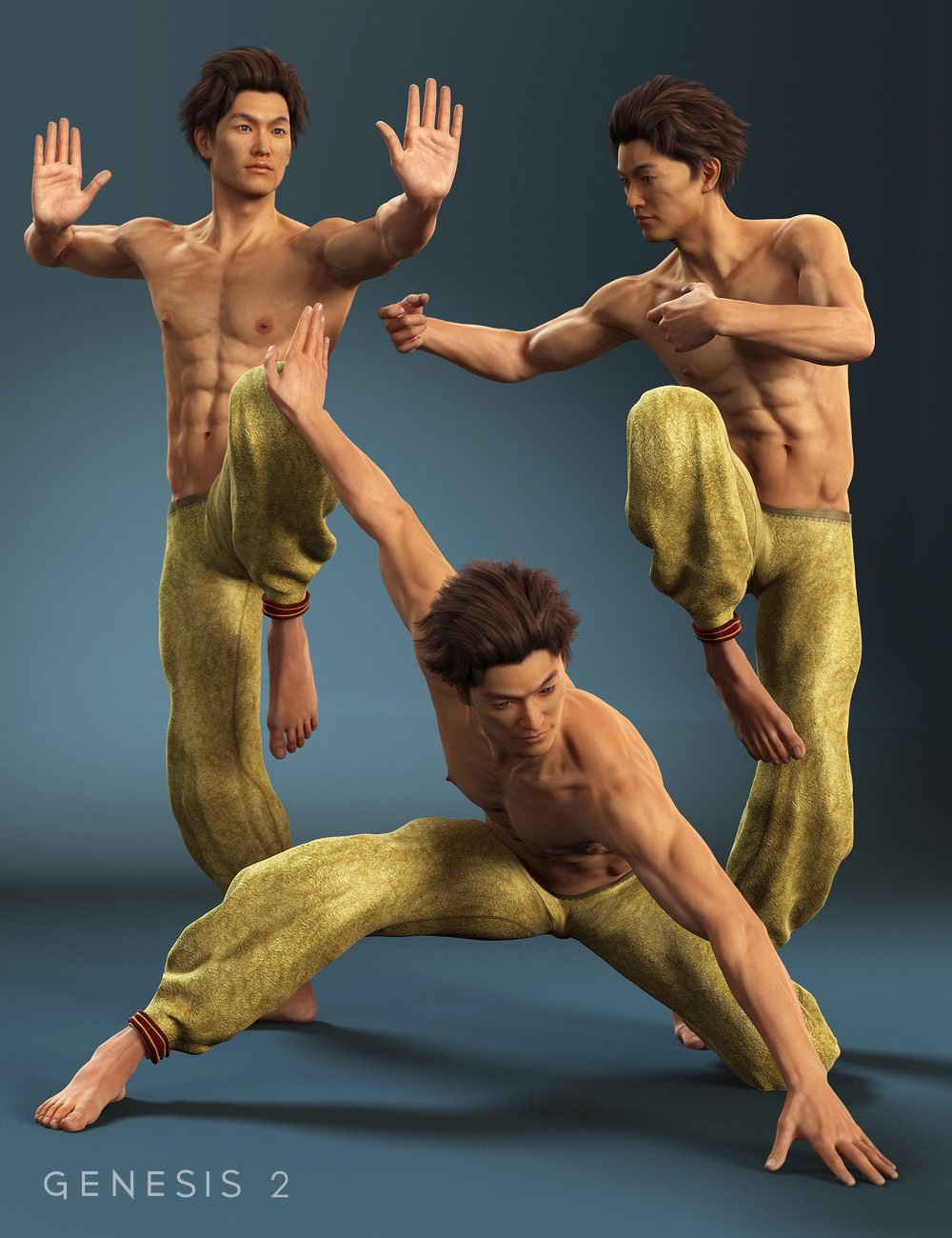 Monk Moves for Lee 6 by: Val3dart, 3D Models by Daz 3D