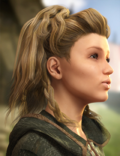 Viking Hair for Genesis 1 and 2 Female(s) by: goldtassel, 3D Models by Daz 3D