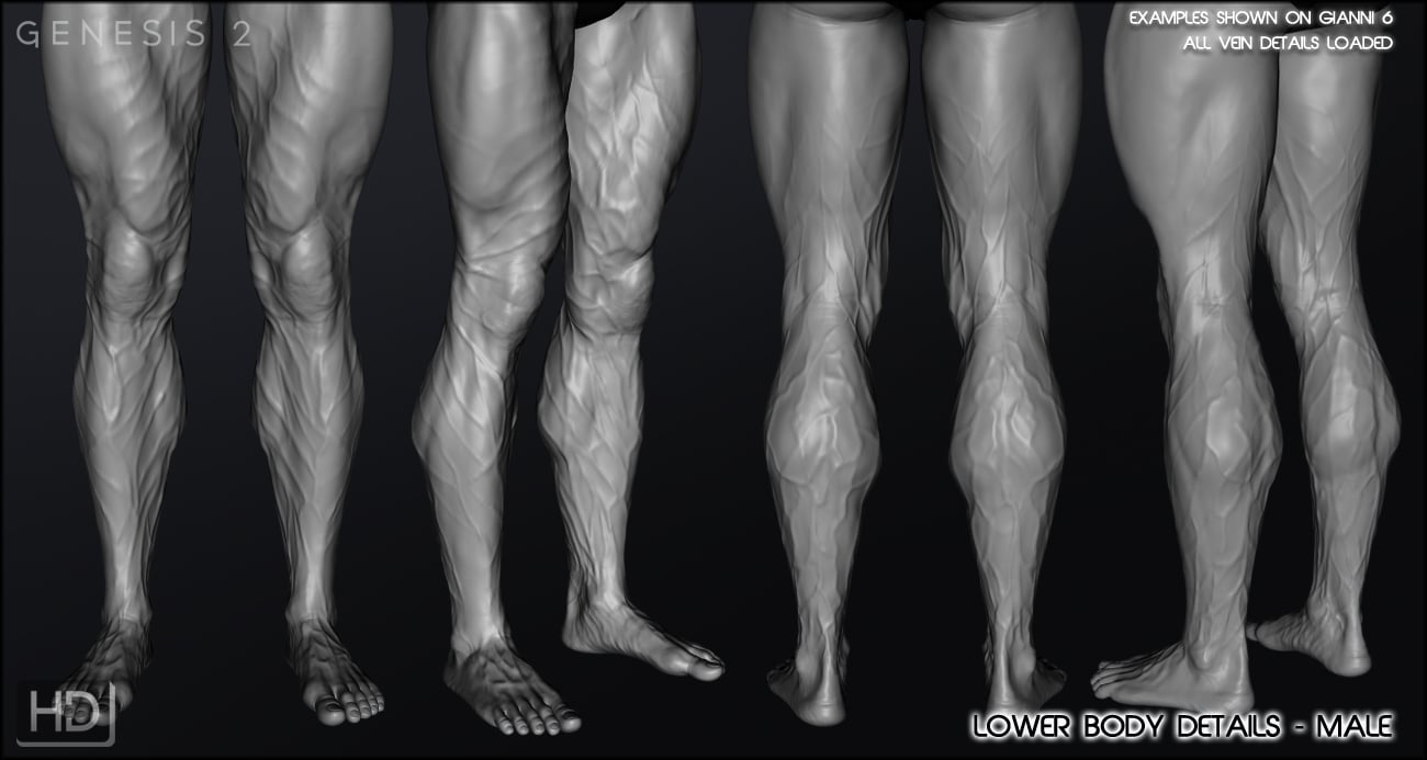 Vascularity HD for Genesis 2 Female(s) and Genesis 2 Male(s) | Daz 3D