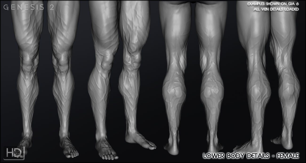 Vascularity HD for Genesis 2 Female(s) and Genesis 2 Male(s) | Daz 3D